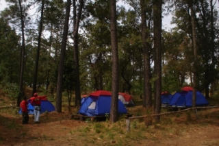 Zona de camping